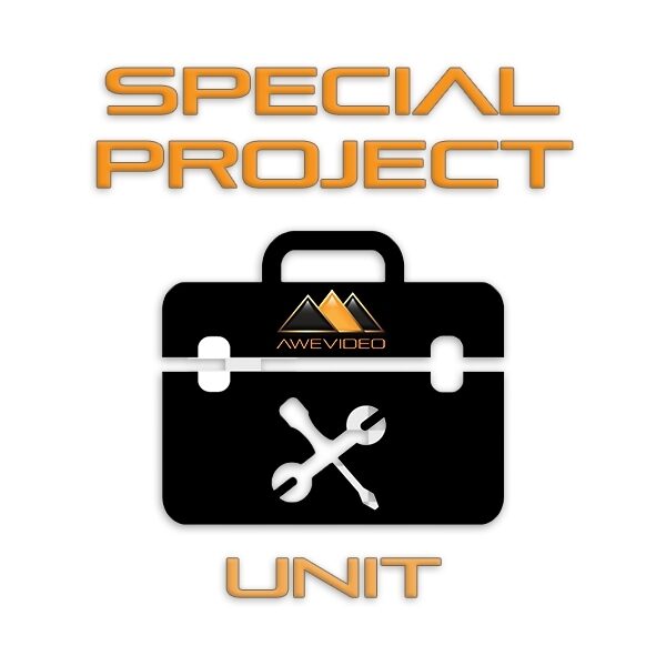 Special Project Unit for Website Hosting Services