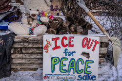 Close-up of a teddy bear and a handmade sign reading "Get ICE OUT for Peace Sake" and “RIP Renee Good” condolence at the Renee Good Roadside Memorial, surrounded by trinkets and wood for the memorial fire. January 20, 2026 (Photo by Awe Video & Photo Studio) Close-up of a teddy bear and a handmade sign reading "Get ICE OUT for Peace Sake" and “RIP Renee Good” condolence at the Renee Good Roadside Memorial, surrounded by trinkets and wood for the memorial fire. January 20, 2026 (Photo by Awe Video & Photo Studio)